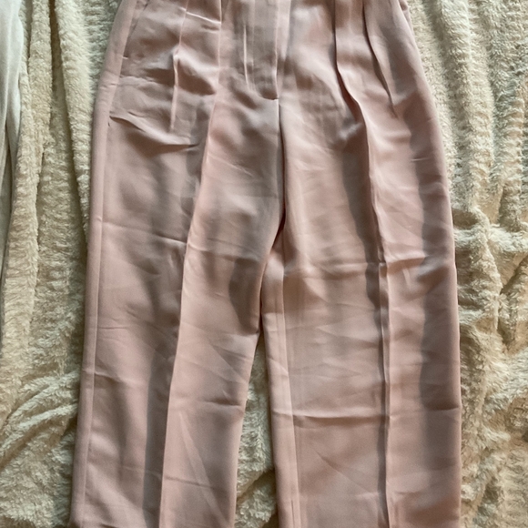 Banana Republic Pleated Wide Leg Pants - Picture 3 of 3
